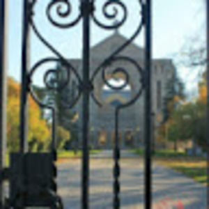 Meet your Posher, Lacey